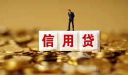 成都25哪有个人借贷-成都25小额贷款公司-成都25私借空放免费上门