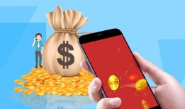 诈骗贷款典型信息模板剖析
